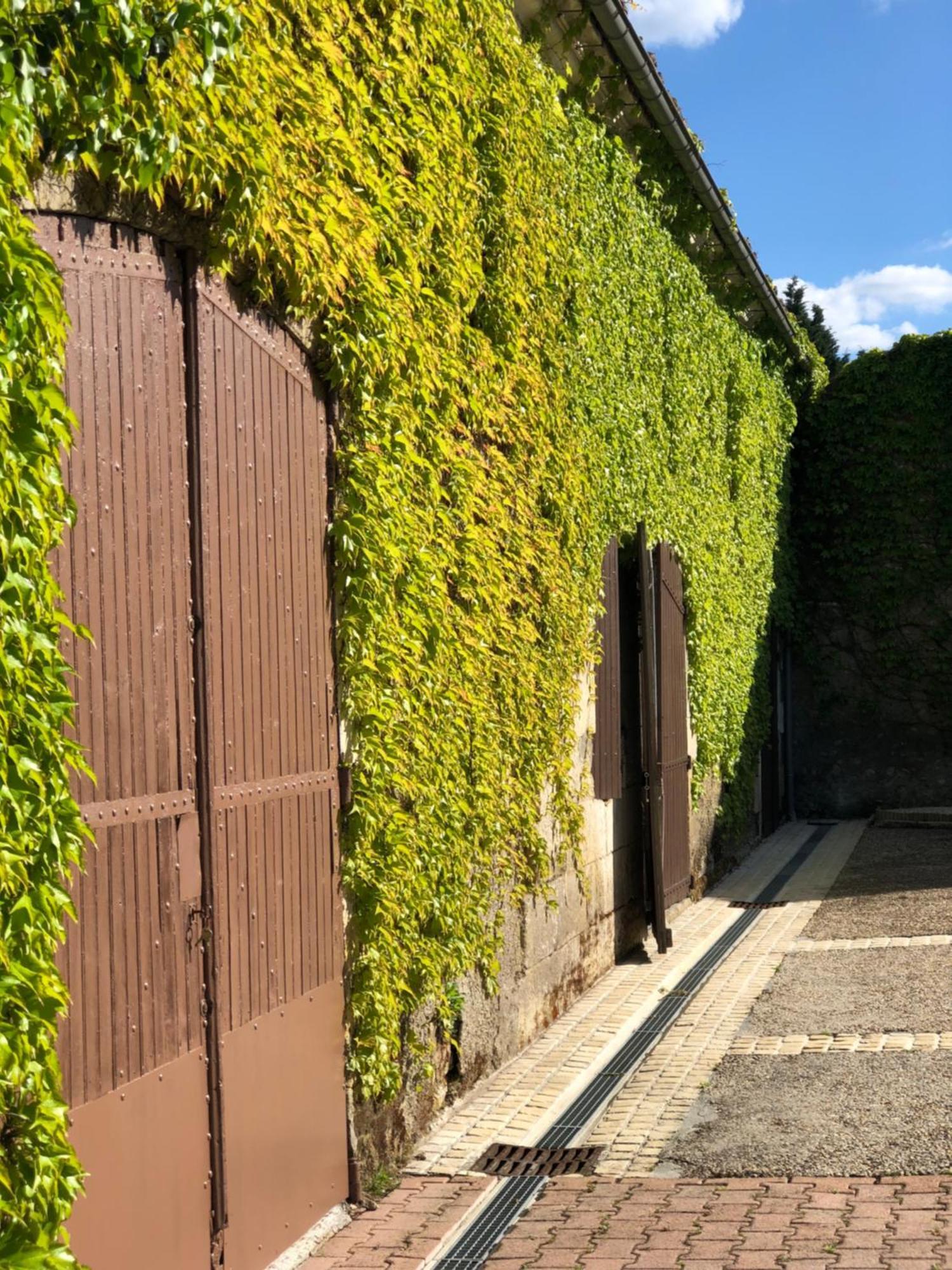Le Domaine Du Haut Preau Saint-Palais-de-Negrignac Экстерьер фото